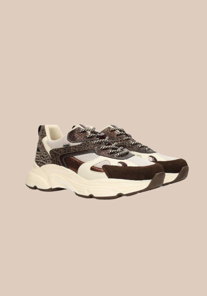 Posh sneaker Ayoki chocolate gold