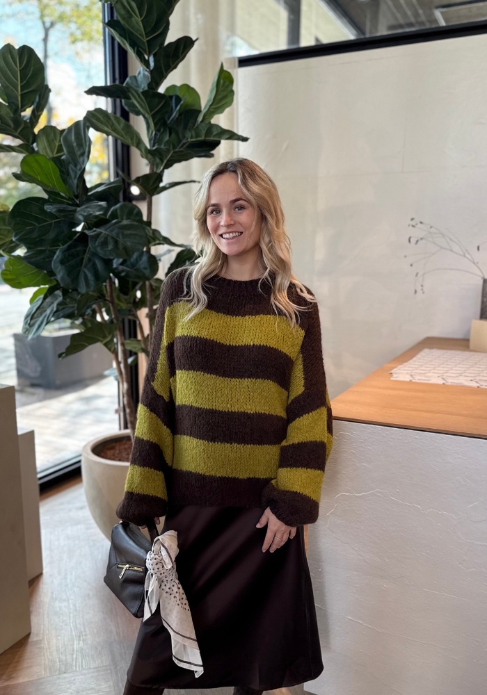 Trui livia streep bruin/groen