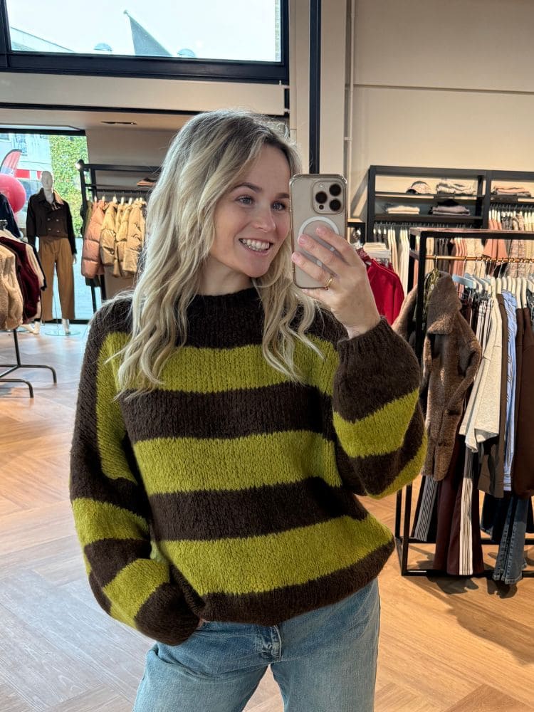Trui livia streep bruin/groen