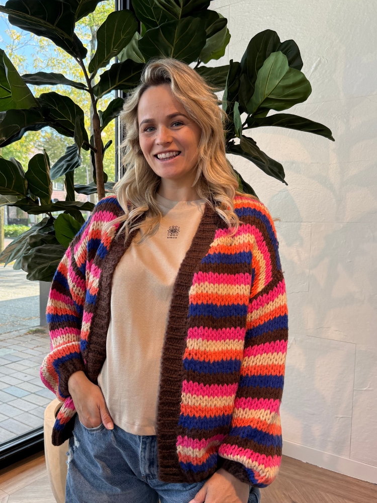 Multicolour vest Jolie bruin