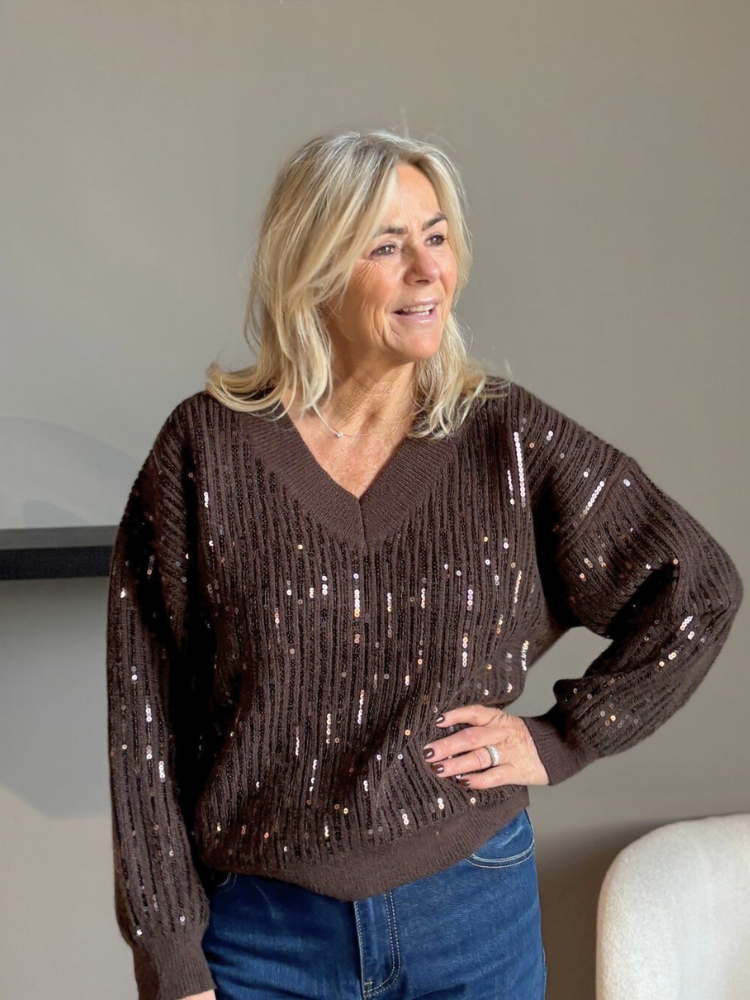 Sequin trui vhals bruin