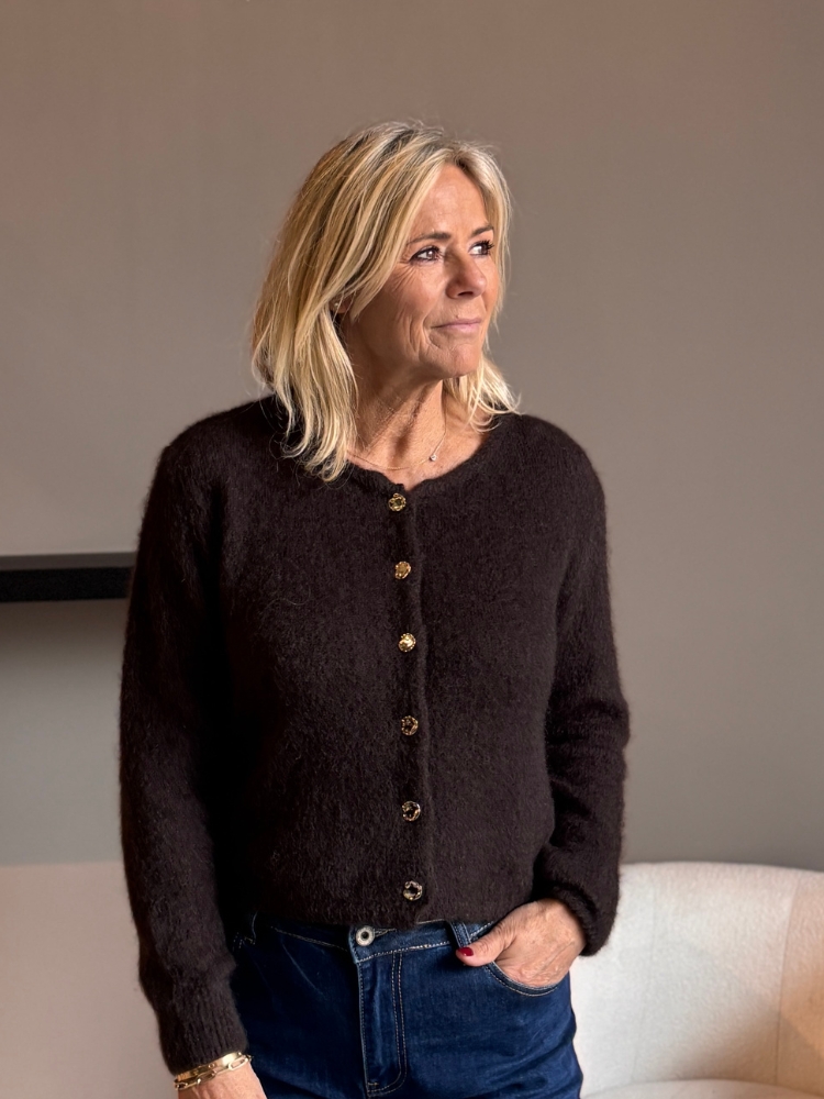 Vest met gouden knopen bruin