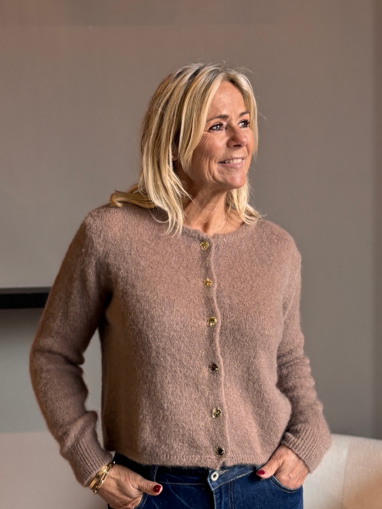 Vest met gouden knopen camel