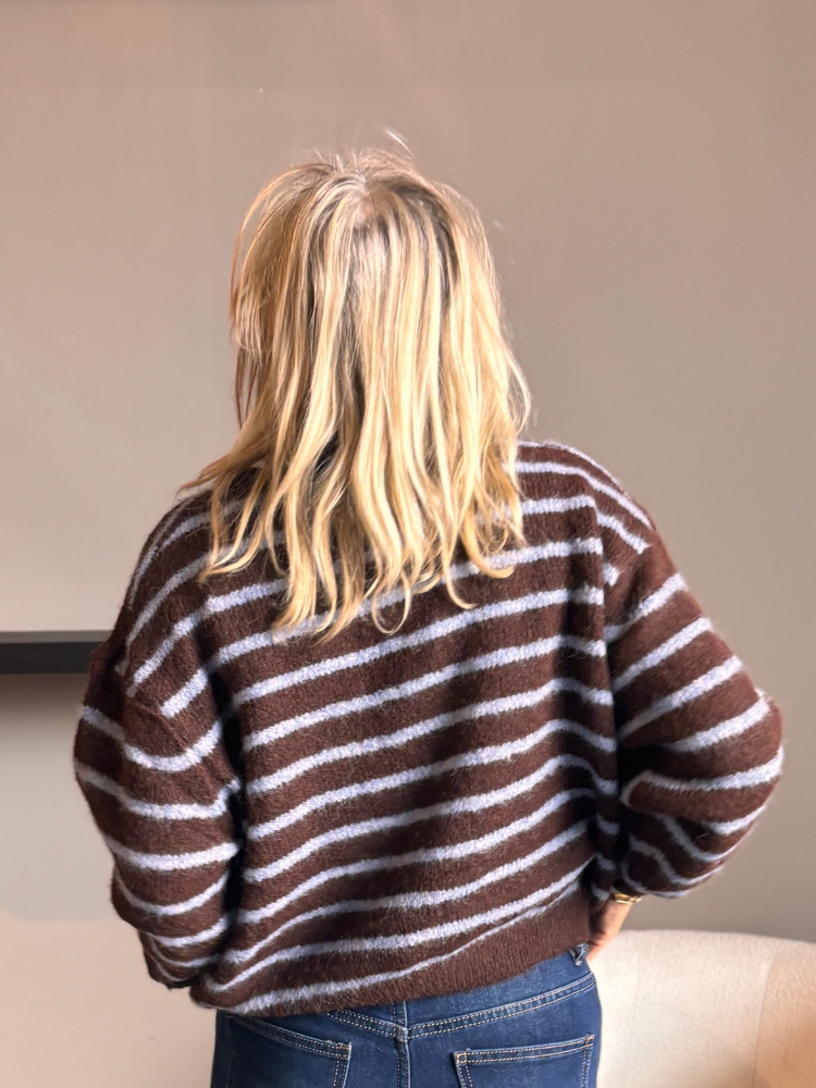 Streep vest April bruin/blauw