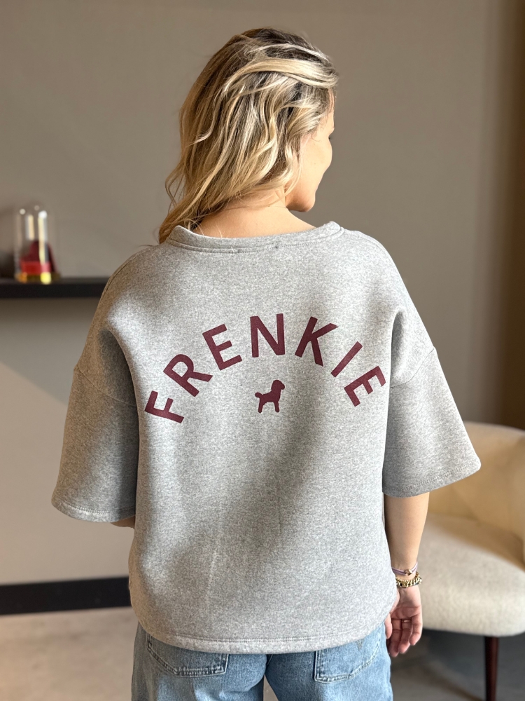 FRENKIE sweater grijs