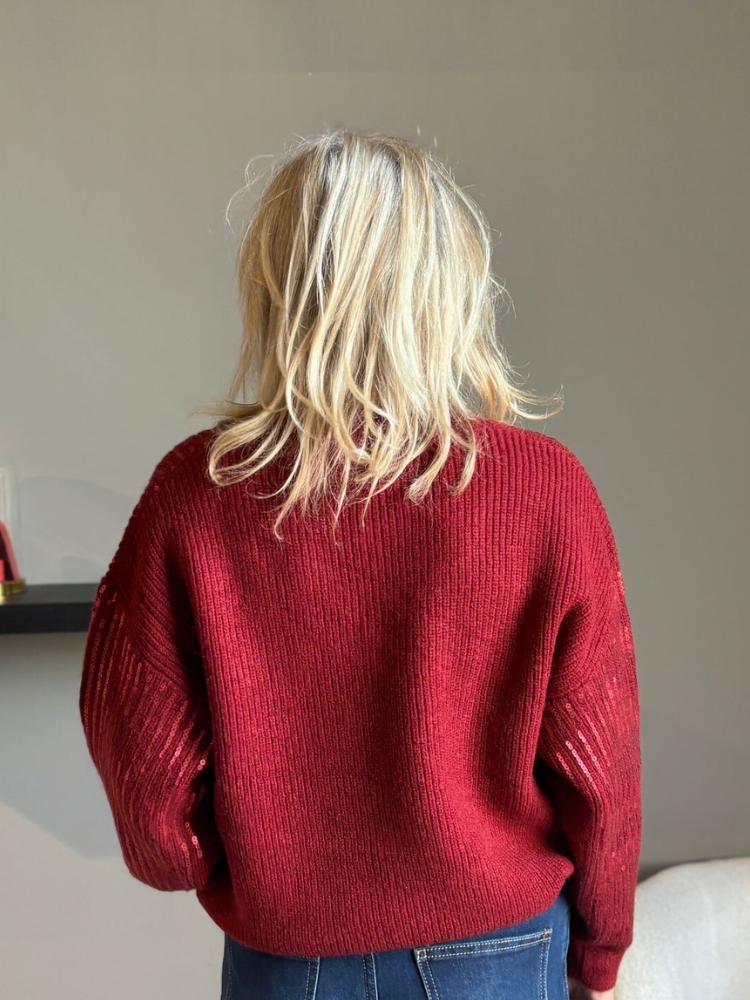 Sequin trui vhals bordeaux