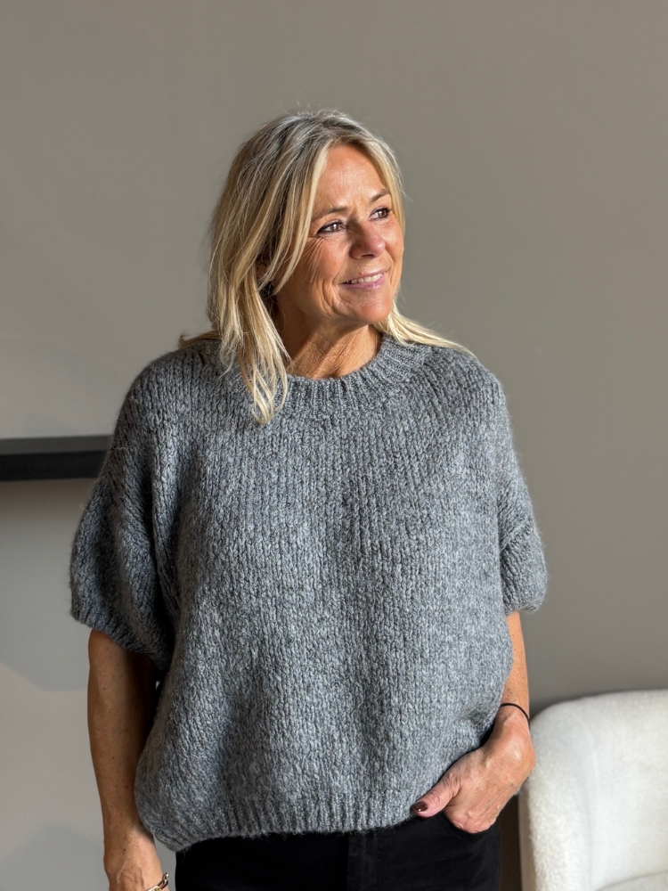 Trui Rianne korte mouw grey melange