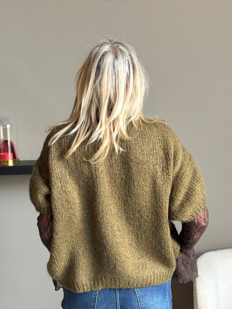 Trui Rianne korte mouw olijf