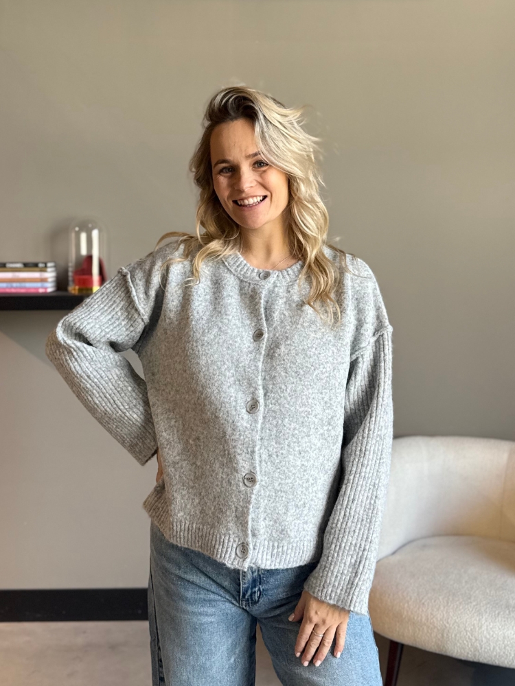 Gebreid vest met knopen Mees grijs